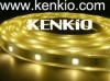 KENKIO -Fabricante de LED tia,LED tiras,tira de LED,tiras de led,led tubo anuncio enviado a www.chilenautico.cl por KENKIO LED LUZ el 17/6/2010
