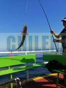 eventos de pesca deportiva  en valparaiso grupos empresas