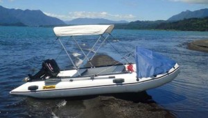 Marcelo Anuncios nauticos en Santiago |  Arriendo bote tipo zodiac con motor fuera de borda , Botes tipo zodiac con motor 10hp 15hp