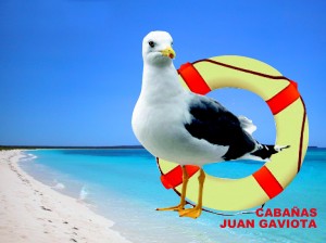 Cabañas Juan Gaviota Anuncios nauticos en La Higuera |  punta de choros cabañas full alojamiento, alojamiento y cabañas en punta de choros full equipadas